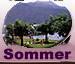 Sommer - Umgebungsbilder